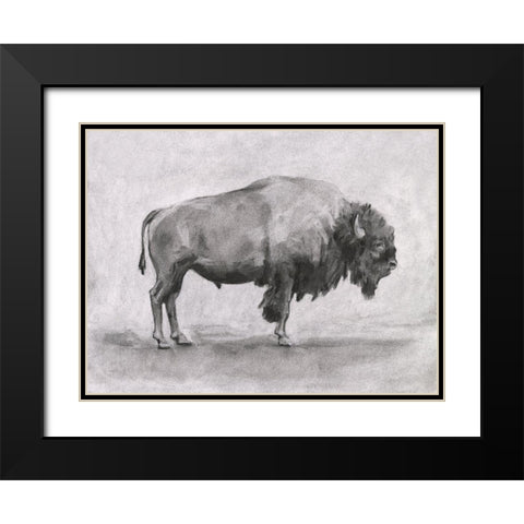Wild Bison Study I Black Modern Wood Framed Art Print with Double Matting by Scarvey, Emma