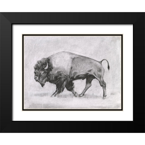 Wild Bison Study II Black Modern Wood Framed Art Print with Double Matting by Scarvey, Emma