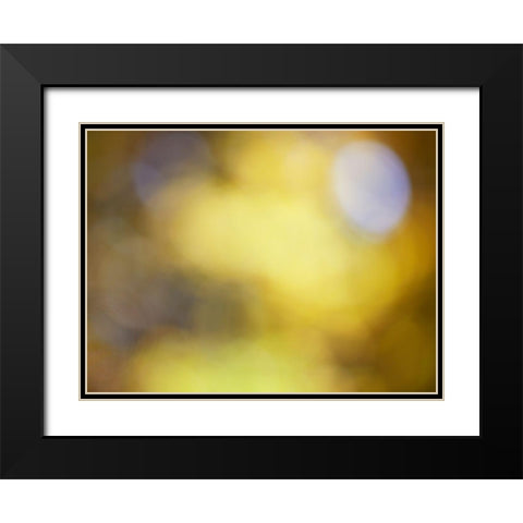 Soft Landscape IV Black Modern Wood Framed Art Print with Double Matting by McLoughlin, James