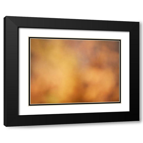 Soft Landscape V Black Modern Wood Framed Art Print with Double Matting by McLoughlin, James