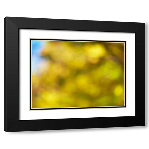 Soft Landscape VI Black Modern Wood Framed Art Print with Double Matting by McLoughlin, James