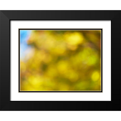 Soft Landscape VI Black Modern Wood Framed Art Print with Double Matting by McLoughlin, James