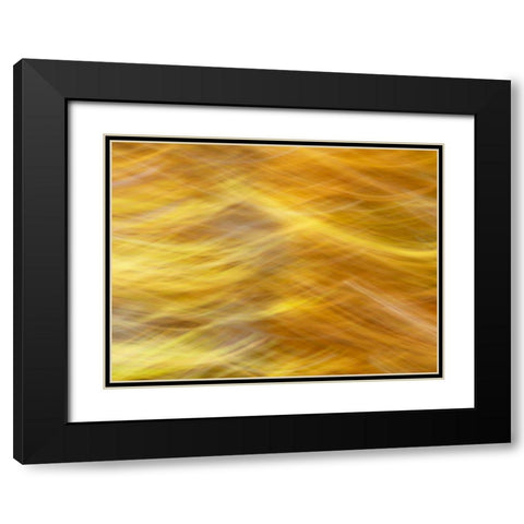 Soft Landscape VII Black Modern Wood Framed Art Print with Double Matting by McLoughlin, James