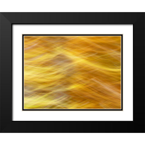 Soft Landscape VII Black Modern Wood Framed Art Print with Double Matting by McLoughlin, James