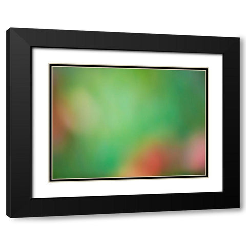 Soft Landscape VIII Black Modern Wood Framed Art Print with Double Matting by McLoughlin, James