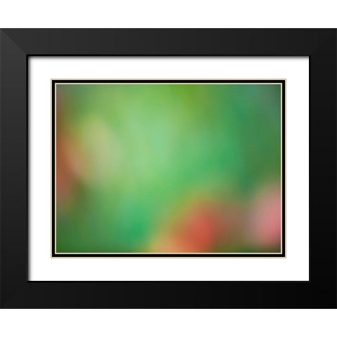 Soft Landscape VIII Black Modern Wood Framed Art Print with Double Matting by McLoughlin, James