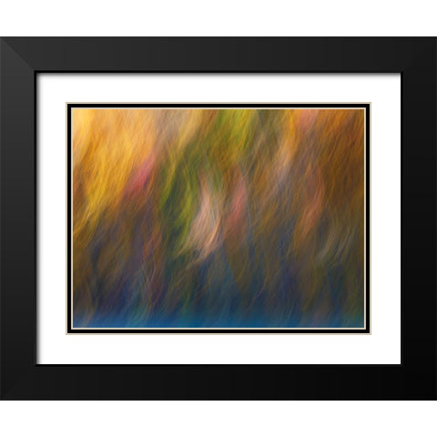 Soft Landscape X Black Modern Wood Framed Art Print with Double Matting by McLoughlin, James