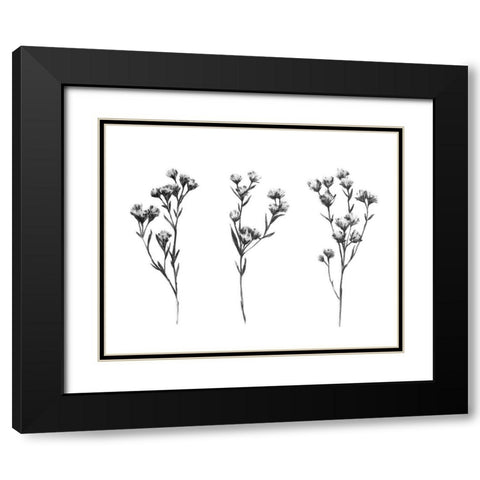 Wild Thistle IV Black Modern Wood Framed Art Print with Double Matting by Scarvey, Emma