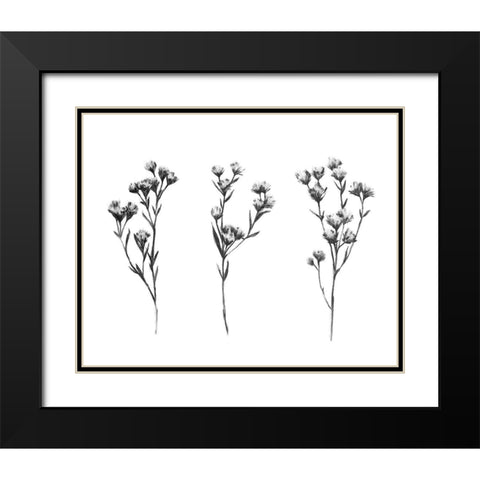 Wild Thistle IV Black Modern Wood Framed Art Print with Double Matting by Scarvey, Emma