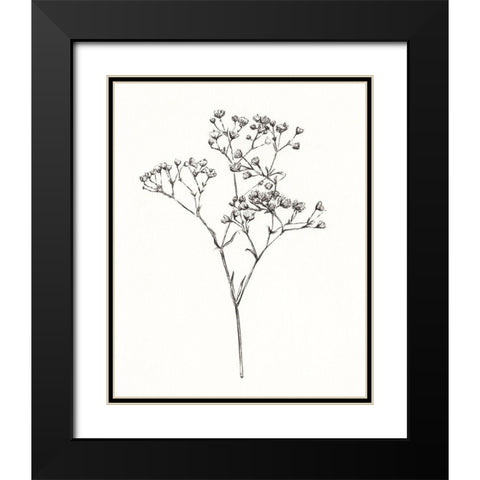 Wild Bloom Sketch I Black Modern Wood Framed Art Print with Double Matting by Warren, Annie