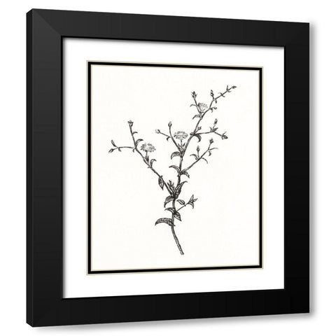 Wild Bloom Sketch II Black Modern Wood Framed Art Print with Double Matting by Warren, Annie