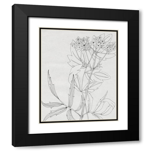 Wild Blossoms II Black Modern Wood Framed Art Print with Double Matting by Wang, Melissa