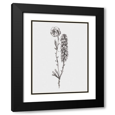 Stem Still Life II Black Modern Wood Framed Art Print with Double Matting by Wang, Melissa