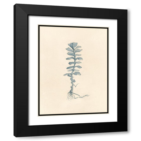 Uprooted I Black Modern Wood Framed Art Print with Double Matting by Douglas, Jamie