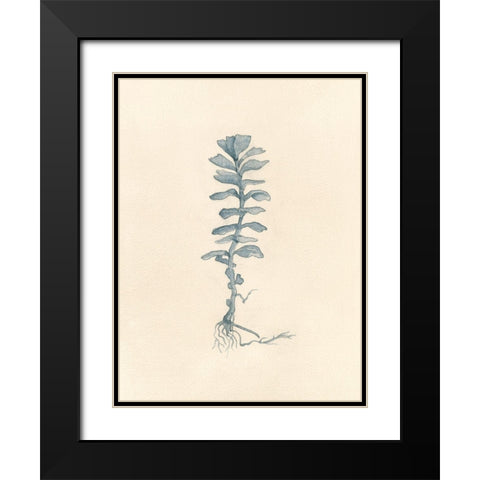Uprooted I Black Modern Wood Framed Art Print with Double Matting by Douglas, Jamie