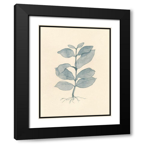 Uprooted II Black Modern Wood Framed Art Print with Double Matting by Douglas, Jamie