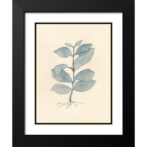 Uprooted II Black Modern Wood Framed Art Print with Double Matting by Douglas, Jamie