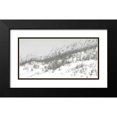 Lush Dunes I Black Modern Wood Framed Art Print with Double Matting by Chandler, Sharon