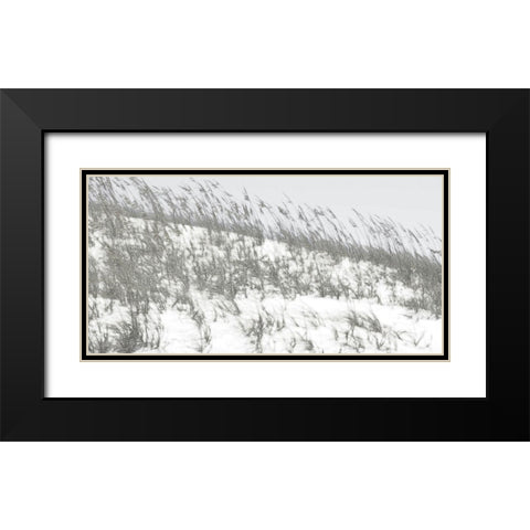 Lush Dunes II Black Modern Wood Framed Art Print with Double Matting by Chandler, Sharon