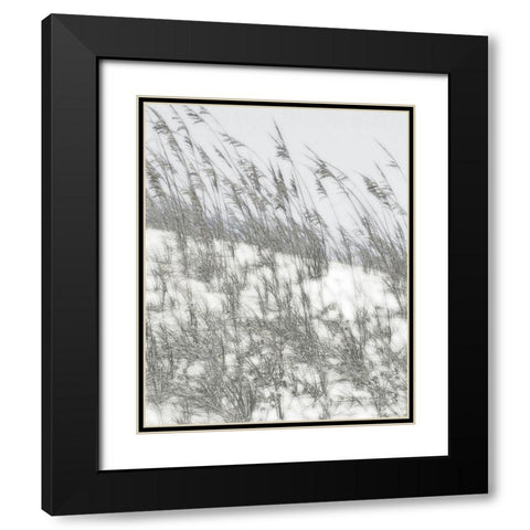 Lush Dunes III Black Modern Wood Framed Art Print with Double Matting by Chandler, Sharon