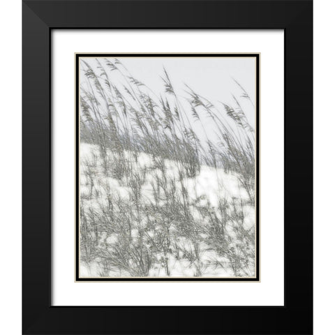 Lush Dunes III Black Modern Wood Framed Art Print with Double Matting by Chandler, Sharon