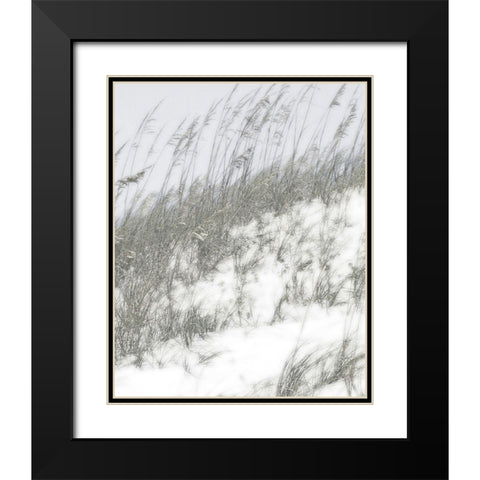 Lush Dunes IV Black Modern Wood Framed Art Print with Double Matting by Chandler, Sharon
