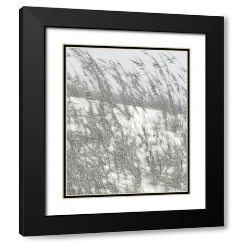 Lush Dunes VI Black Modern Wood Framed Art Print with Double Matting by Chandler, Sharon