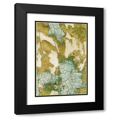 Biomes I Black Modern Wood Framed Art Print with Double Matting by Lam, Vanna