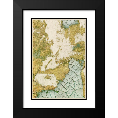 Biomes II Black Modern Wood Framed Art Print with Double Matting by Lam, Vanna