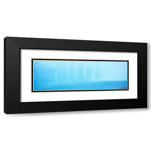 Tree Panorama II Black Modern Wood Framed Art Print with Double Matting by McLoughlin, James