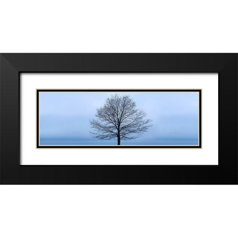 Tree Panorama VI Black Modern Wood Framed Art Print with Double Matting by McLoughlin, James
