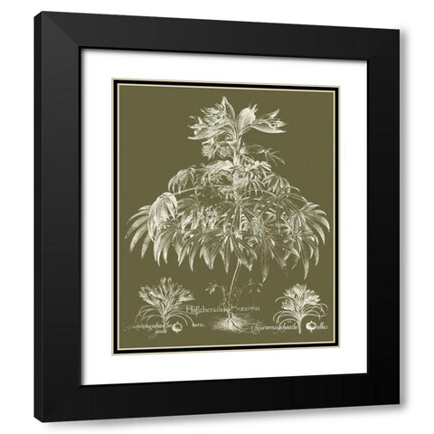 Custom Delicate Besler Botanical I Black Modern Wood Framed Art Print with Double Matting by Vision Studio