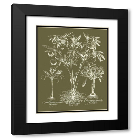 Custom Delicate Besler Botanical II Black Modern Wood Framed Art Print with Double Matting by Vision Studio
