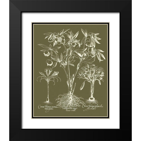 Custom Delicate Besler Botanical II Black Modern Wood Framed Art Print with Double Matting by Vision Studio