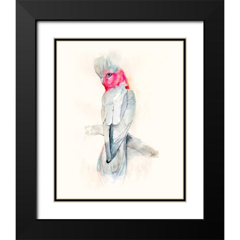 Opera Cockatoo II Black Modern Wood Framed Art Print with Double Matting by Goldberger, Jennifer
