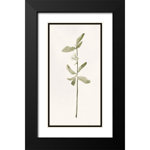 Early Blooms II Black Modern Wood Framed Art Print with Double Matting by Caroline, Emma