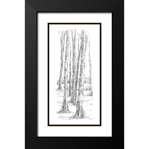 Birch Tree Sketch II Black Modern Wood Framed Art Print with Double Matting by Harper, Ethan
