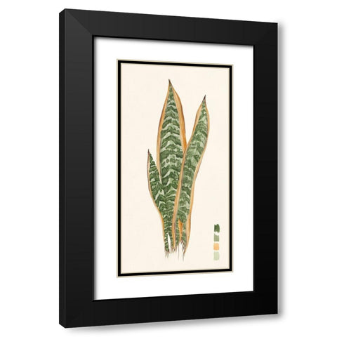 Snake Plants I Black Modern Wood Framed Art Print with Double Matting by Wang, Melissa