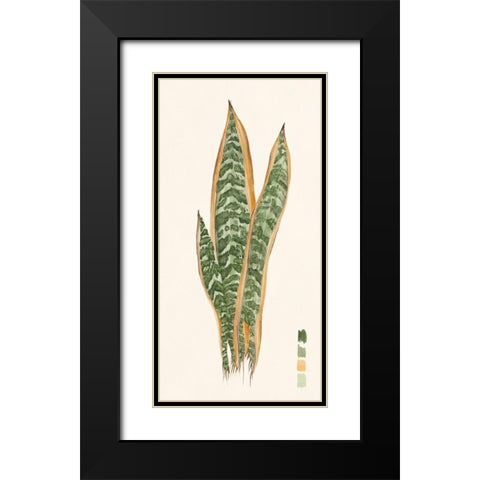 Snake Plants I Black Modern Wood Framed Art Print with Double Matting by Wang, Melissa