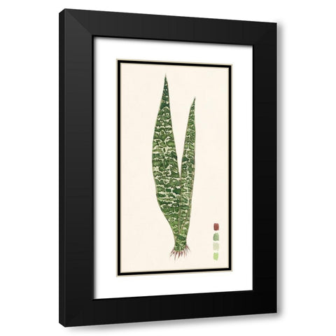 Snake Plants IV Black Modern Wood Framed Art Print with Double Matting by Wang, Melissa