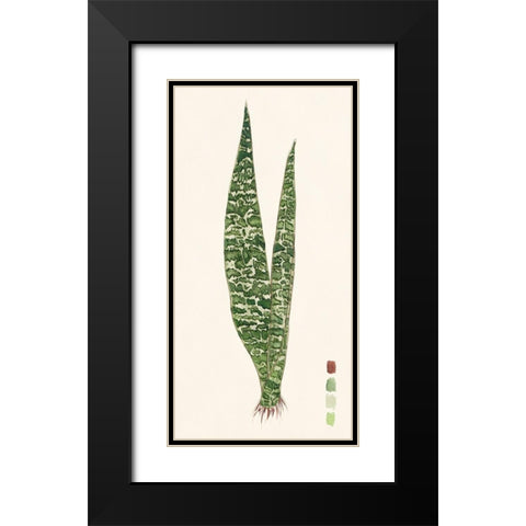 Snake Plants IV Black Modern Wood Framed Art Print with Double Matting by Wang, Melissa