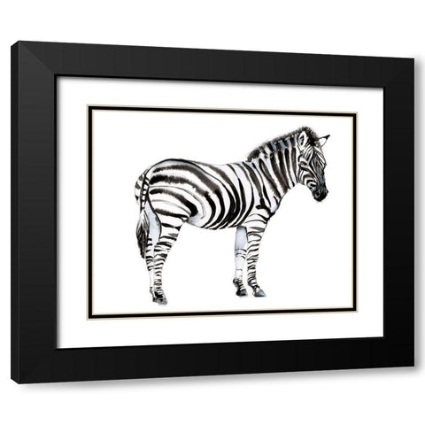 Standing Zebra I Black Modern Wood Framed Art Print with Double Matting by Goldberger, Jennifer
