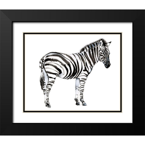 Standing Zebra I Black Modern Wood Framed Art Print with Double Matting by Goldberger, Jennifer