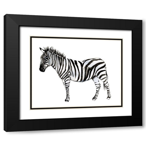 Standing Zebra II Black Modern Wood Framed Art Print with Double Matting by Goldberger, Jennifer