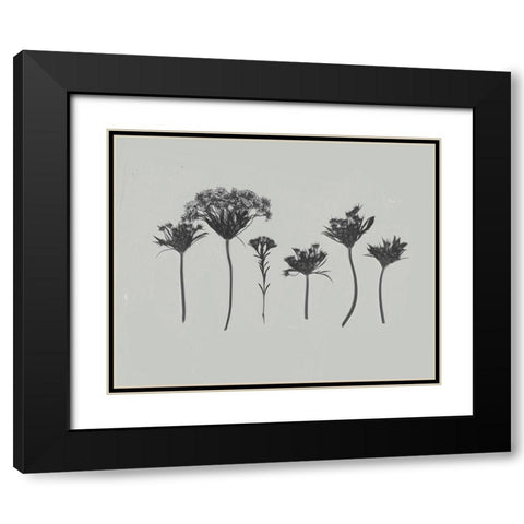 Wildflower Memory I Black Modern Wood Framed Art Print with Double Matting by Goldberger, Jennifer