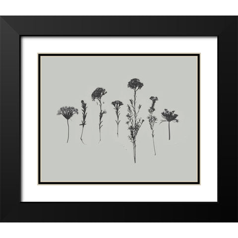 Wildflower Memory II Black Modern Wood Framed Art Print with Double Matting by Goldberger, Jennifer
