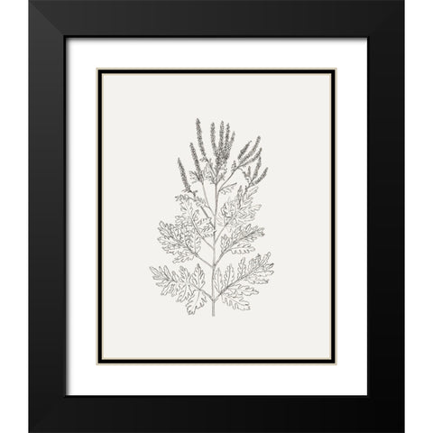 Wild Foliage Sketch II Black Modern Wood Framed Art Print with Double Matting by Borges, Victoria