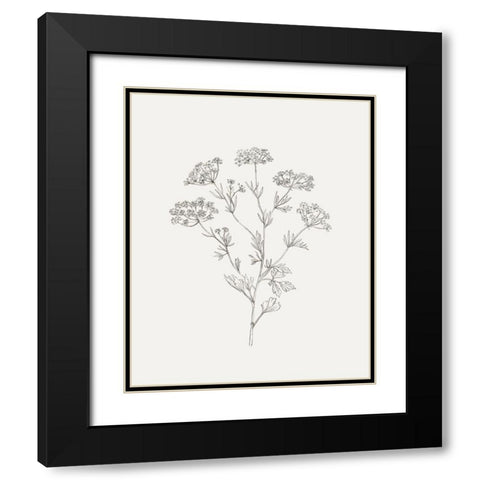 Wild Foliage Sketch III Black Modern Wood Framed Art Print with Double Matting by Borges, Victoria