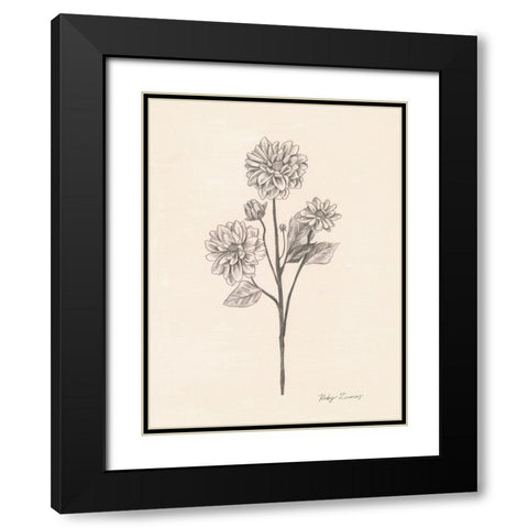 Garden Zinnias II Black Modern Wood Framed Art Print with Double Matting by Popp, Grace