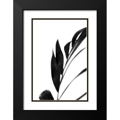 Black Palms III Black Modern Wood Framed Art Print with Double Matting by Stramel, Renee W.